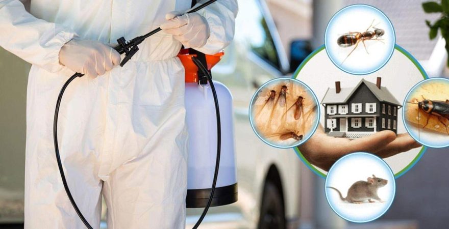 Beylikdüzü Böcek İlaçlama