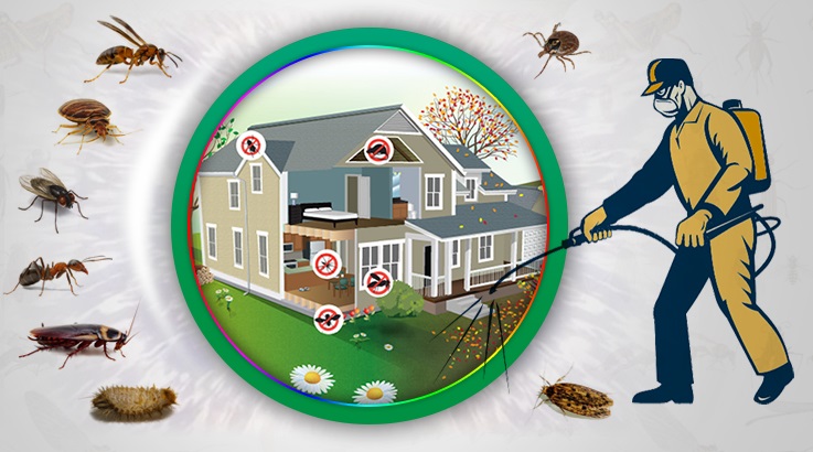 Beylikdüzü Böcek İlaçlama