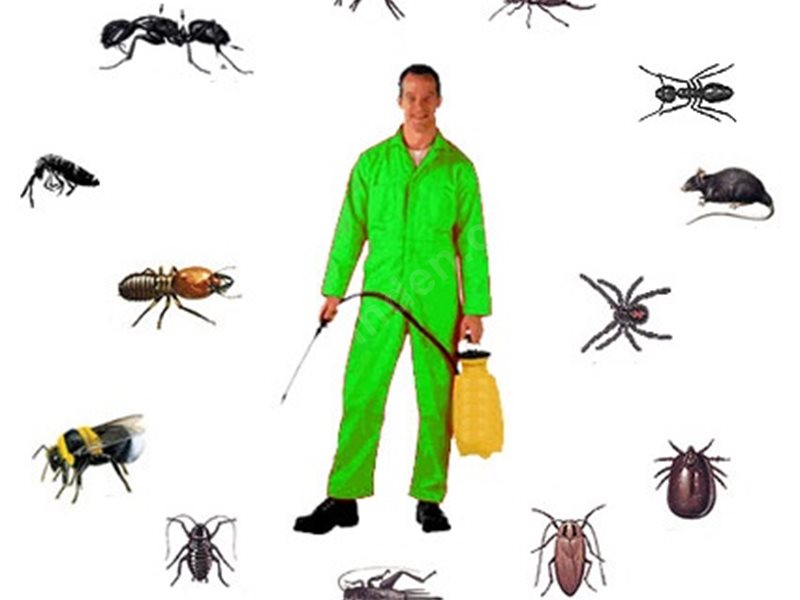 Beylikdüzü Böcek İlaçlama